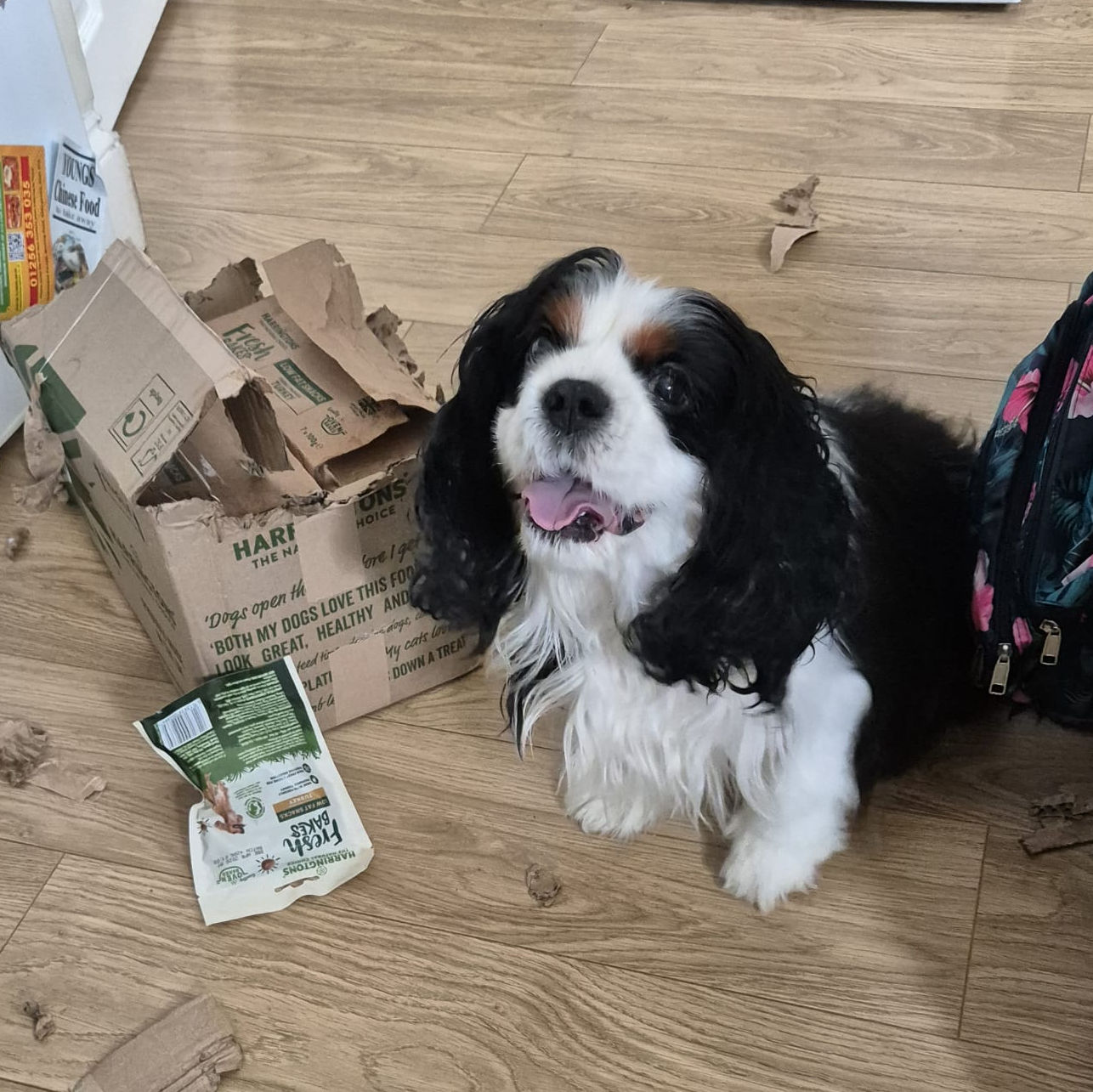 2024_2025 - Murphy - 6.jpg